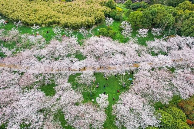 无锡这座大公园，即将爆火！