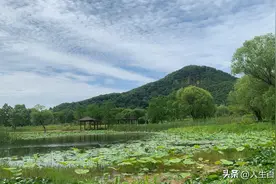 苹果手机拍照，成片暗沉，色彩单调？原来是缺少这一步设置！图片