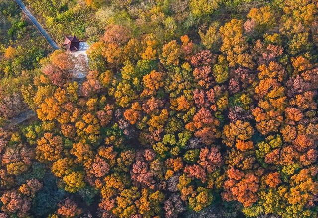 免费打卡明光女山,人少景美超级治愈~