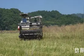 “科技+农机”助推农业发展加速度图片