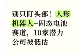 别只盯头部！人形机器人+固态电池赛道，10家潜力公司被低估图片