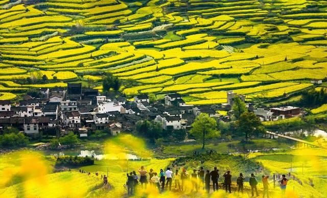 @浙江中小学生，全国多家5A景区邀你春假免费游