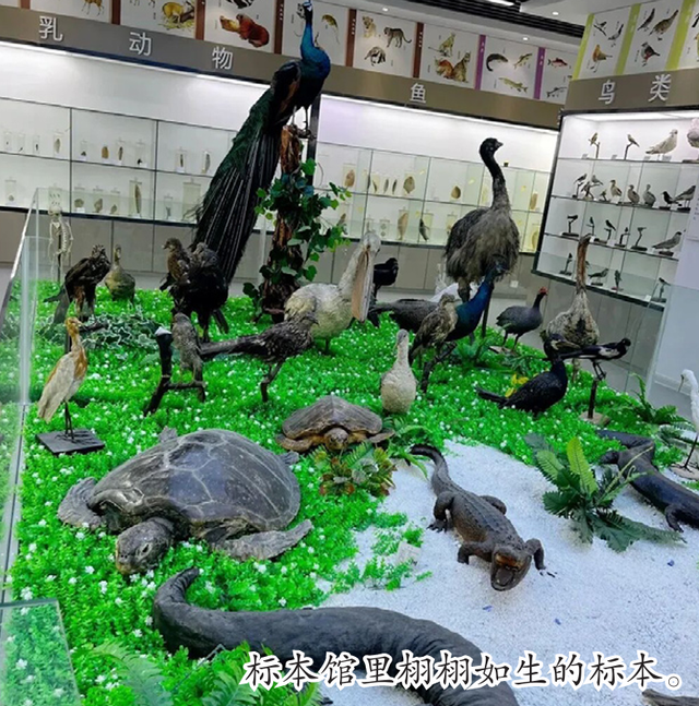 开学季，带娃解锁不一样的登“高”之旅