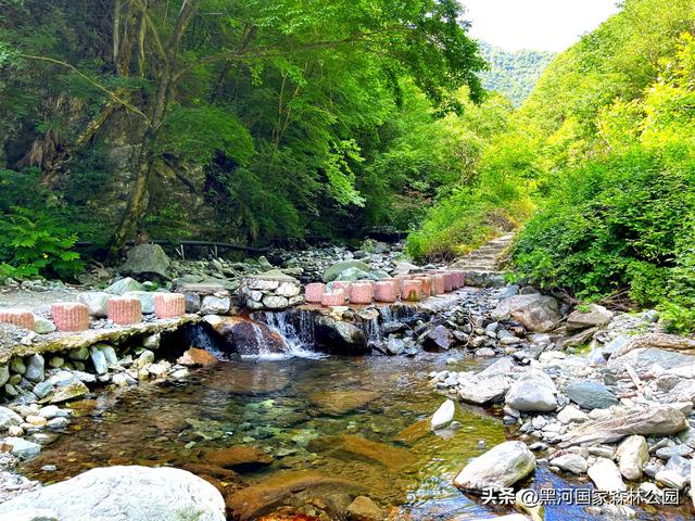 五一反向旅游首选：黑河国家森林公园，自驾+徒步+山居，避开人潮享秦岭秘境
