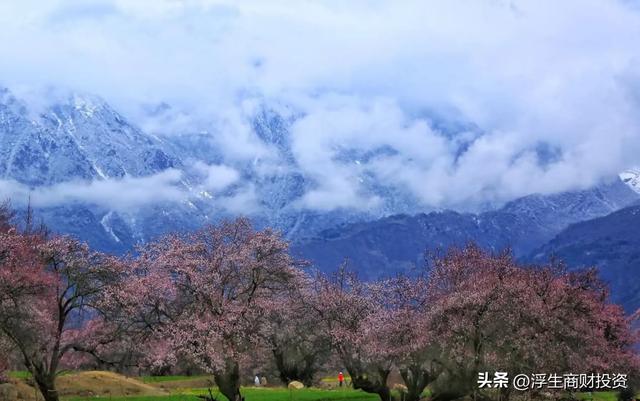 9月旅行爽翻了！避开人潮的10个宝藏地，从金黄草原到桂香园林…