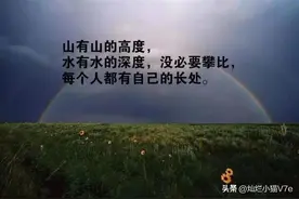 撞了南墙101次悟出的人间铁律图片