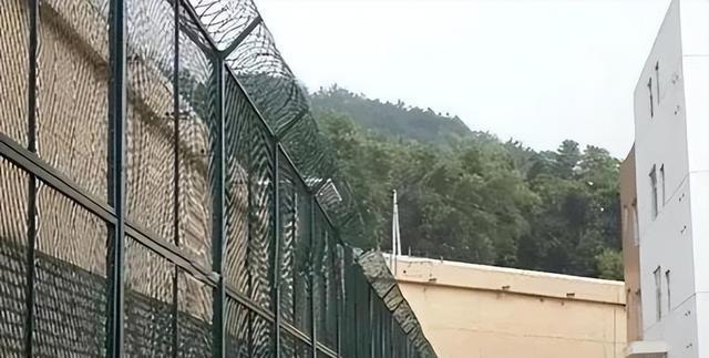 女子监狱没有男犯人，为何每年都有很多人怀孕？监狱长道出了实情