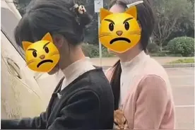 小猫可以坐下一趟车的图片