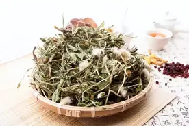 蒲公英的“黄金搭档”被发现，搭配泡水喝，肝变净了，胃也舒坦了图片