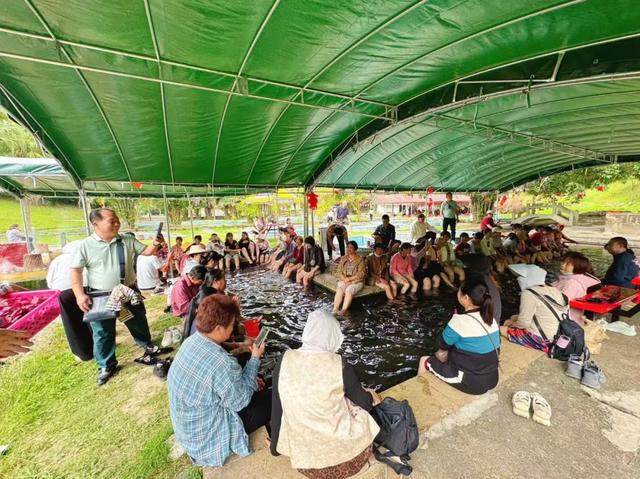 趣春游,赴一场蓝洋踏青的邀约