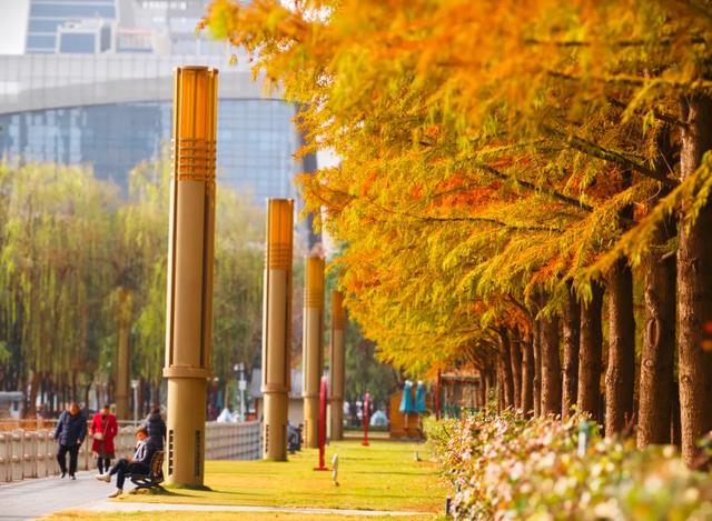 新年第一站,我先冲了!