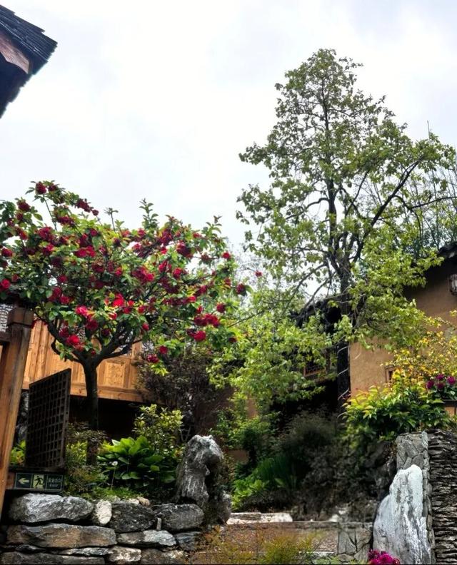 这里是康县山根村！