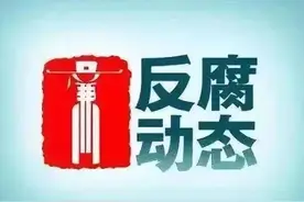 梅建亚被查，汪磊被“双开”，宋希斌一审获刑14年，高杰一审获刑12年6个月图片