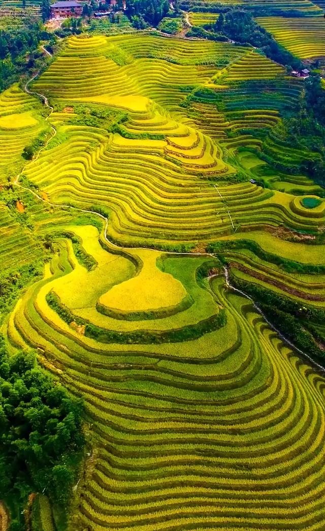 五月，推荐几个全国最适合出游的地方，收藏这一份就够了！