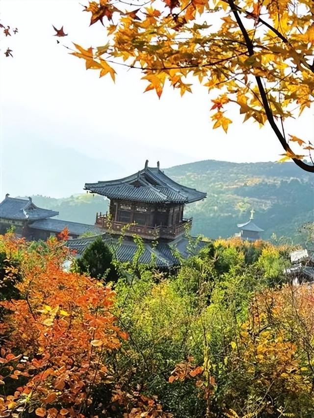接下来太原的秋天是这样的！太原2025秋季赏叶指南请收藏