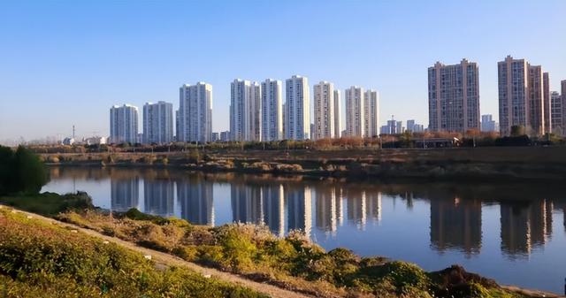 不用去南京，长沙也藏着 “梧桐秘境”！遛娃拍照美到窒息！