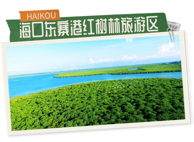 畅游旅交会，别忘了解锁海口惊喜礼遇！