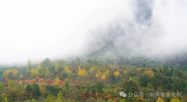 金徽大道披“彩妆” 徽县秋色正当时