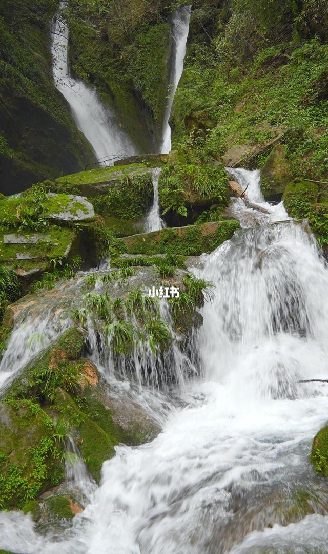 人少景美‼️武汉出发五天四晚顶级自驾路线
