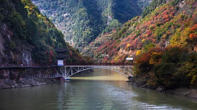 枫景如画，杏色满城！陕西这5个红叶观赏地，每一帧都是大片呈现