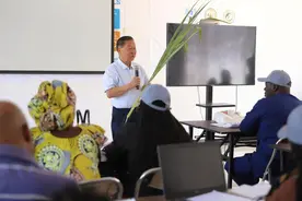 心相近丨“中国草”：送给世界的礼物图片