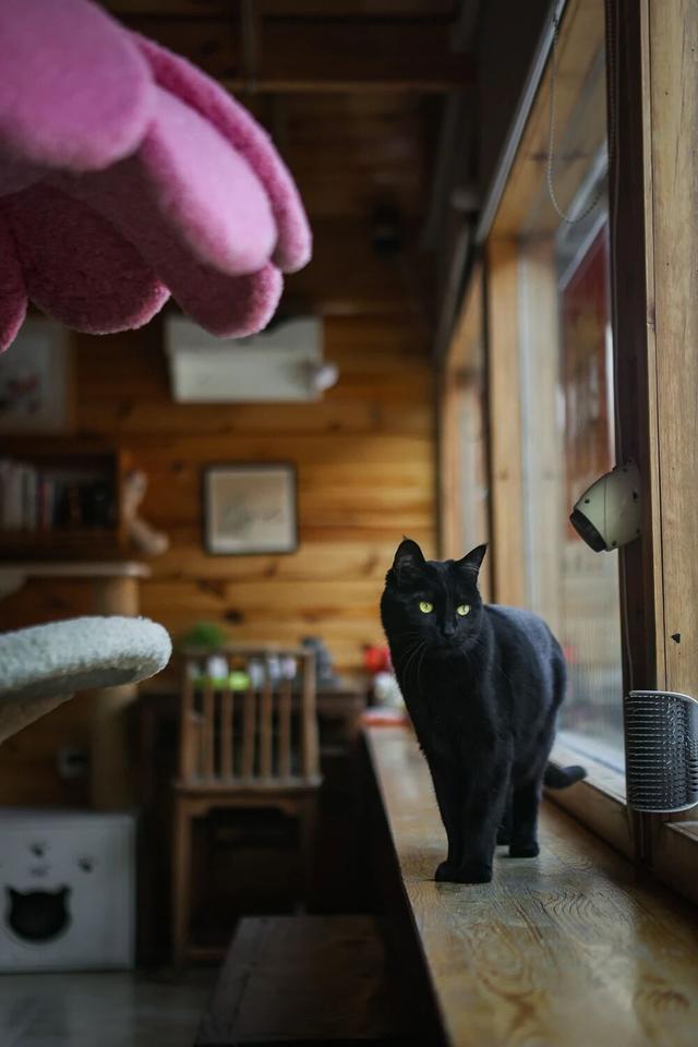 观复猫带你画·中华最有名 | 避暑山庄