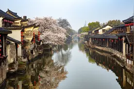 我是深圳人，上月去江苏吃酒席，回来后满是不解，4个问题想不通图片