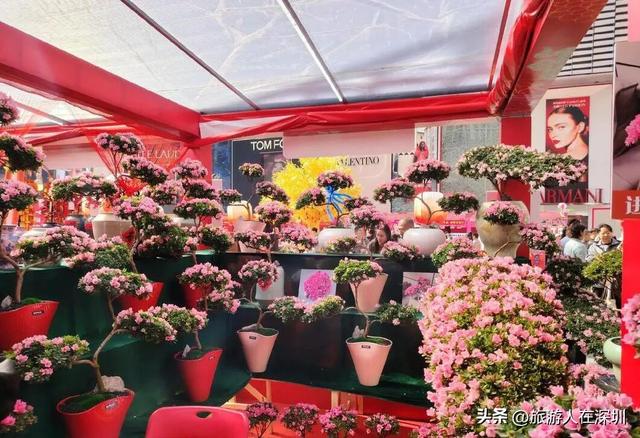 2026年深圳春节游玩全攻略，六大维度解锁年味，您最想去哪逛大年