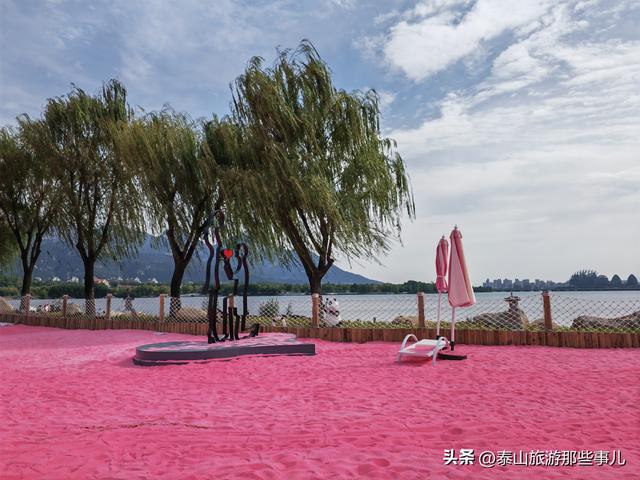 泰安：西南藏着一个粉色沙滩，占地5000平，一个情侣喜爱的打卡地