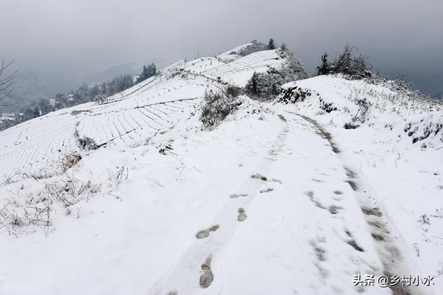 今日大雪，老人说“冷不冷，就看大雪”	，今年冬天是冷冬吗？