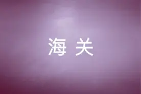 一家基层海关的内设机构图片