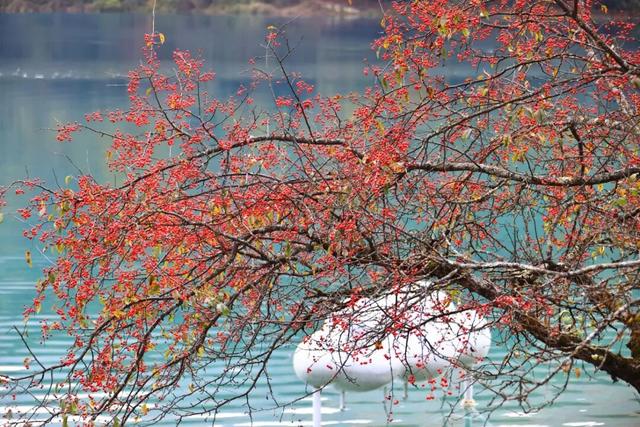天池「初妆」，素颜静好