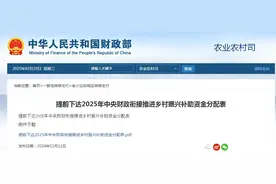 云南狂揽159亿，上海仅1230万！2025乡村振兴资金分配表曝光！图片