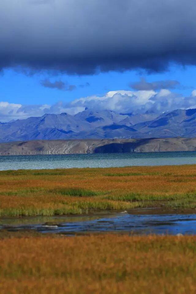 探秘古格王朝与扎达土林：西藏阿里的时空之旅