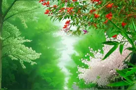 烟雨濛濛，春意浓浓图片