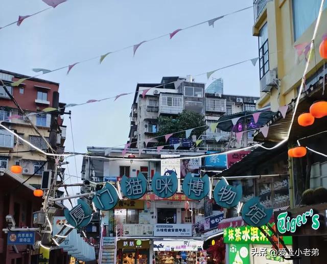 厦门旅行记:想去的小伙伴可以提前看看，前人种树后人乘凉嘛