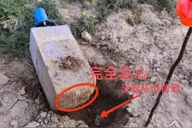 农田造假后续!面对“三无”铁证，施工方态度蛮横怼记者:去举报呗图片