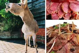 中国五大不建议食用的食材图片