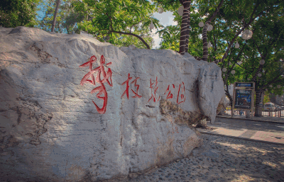 美疯了！高铁直达“四川小三亚”，花海开爆！草莓按盆吃，烧烤香迷糊！