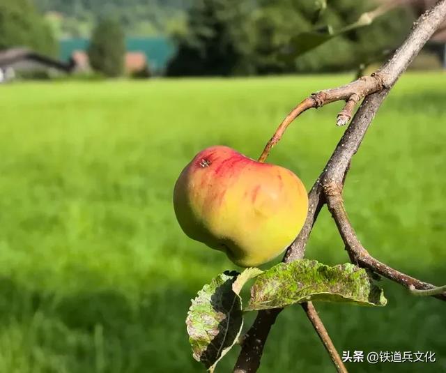 瑞士龙疆小镇【原创】:原铁十师:陶玉和