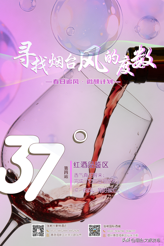 【乐游烟台】假日好去处丨限时免费！烟台春游神仙地都在这