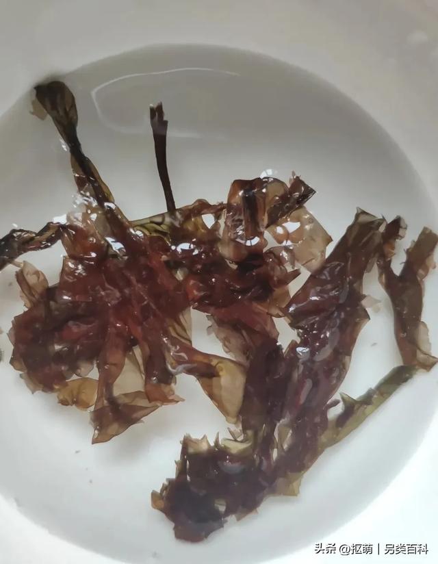 紫菜vs海苔，别再买错了！价格相差好多倍