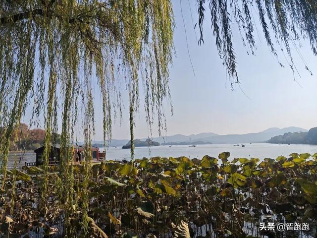 2025 杭州西湖 City Walk 留下足迹