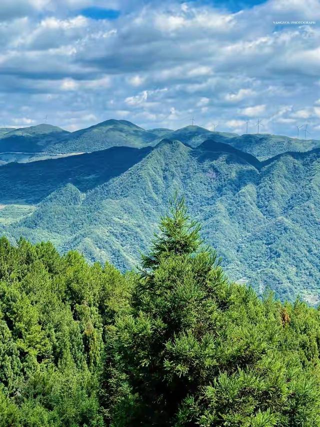 藏不住了！湖北7大长寿康养胜地，看呆全国网友