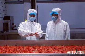 湖北小龙虾产品首次出口中东地区图片