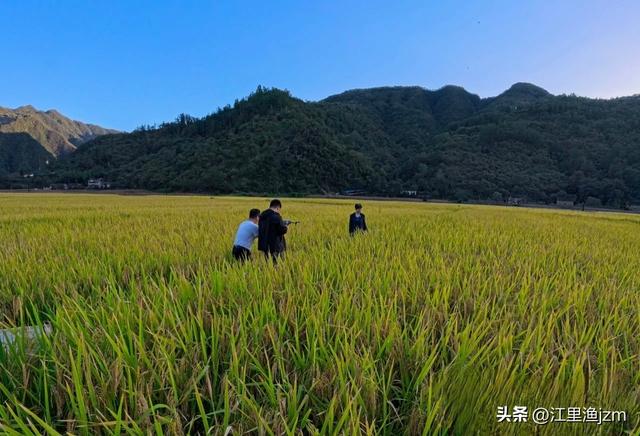 西川：秦岭深处的水墨长卷