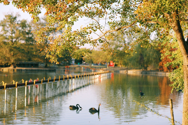 除了跑，还能吃和玩