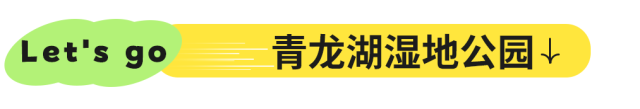 地铁直达！全部免费！成都15个被问爆的赏花地，蓝花楹三角梅美疯了