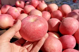 苹果煮水喝，一调气色，二健脾胃，三助排便，建议大人小孩都常喝图片