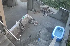 后续来了！浙江后奶把孙子锁在门外，签署了协议，问题已经解决！图片